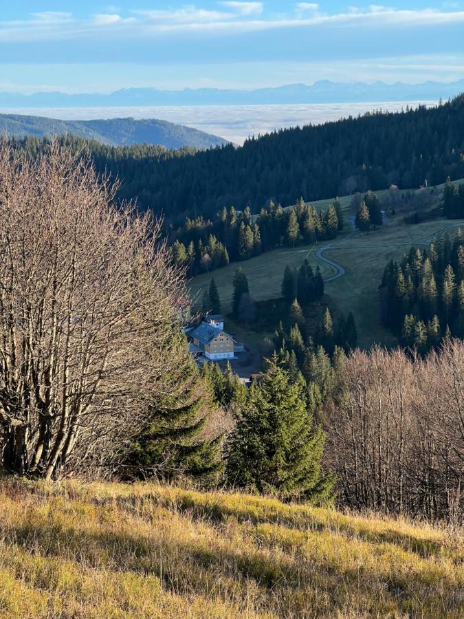 Haus Wiesenquelle, Deluxe-Apartment 'Feld & Berg' Feldberg  Exteriör bild