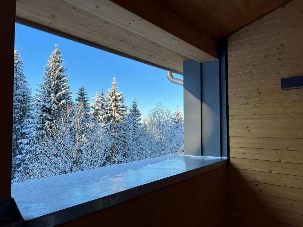 Haus Wiesenquelle, Deluxe-Apartment 'Feld & Berg' Feldberg  Exteriör bild