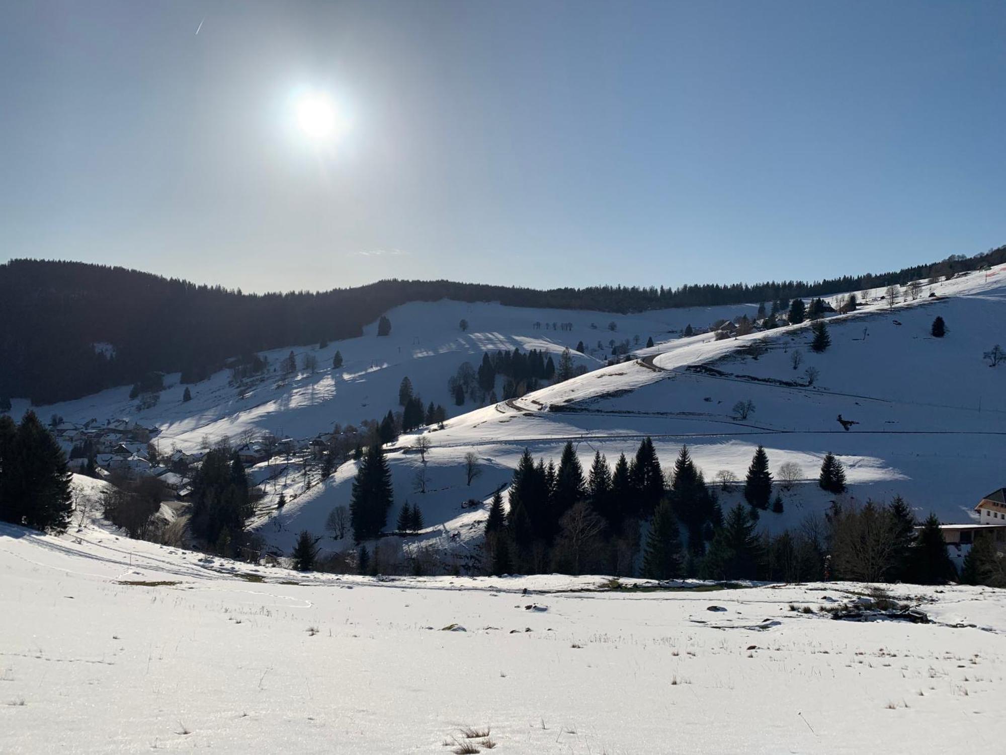 Haus Wiesenquelle, Deluxe-Apartment 'Feld & Berg' Feldberg  Exteriör bild